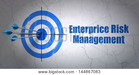 Success finance concept: arrows hitting the center of target, Blue Enterprice Risk Management on wall background, 3D rendering
