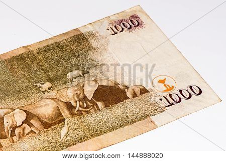 1000 Kenyan shillings bank note of Kenya. Kenyan shilling is the national currency of Kenya