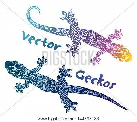 Vector blue and pink gecko silhouettes with tribal ethno doodle ornament