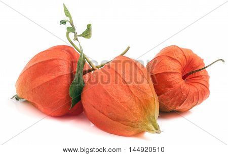 three closed husk tomatoes with leaf isolated on white background.