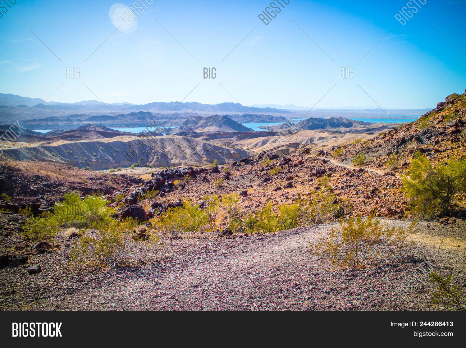 Image Preview