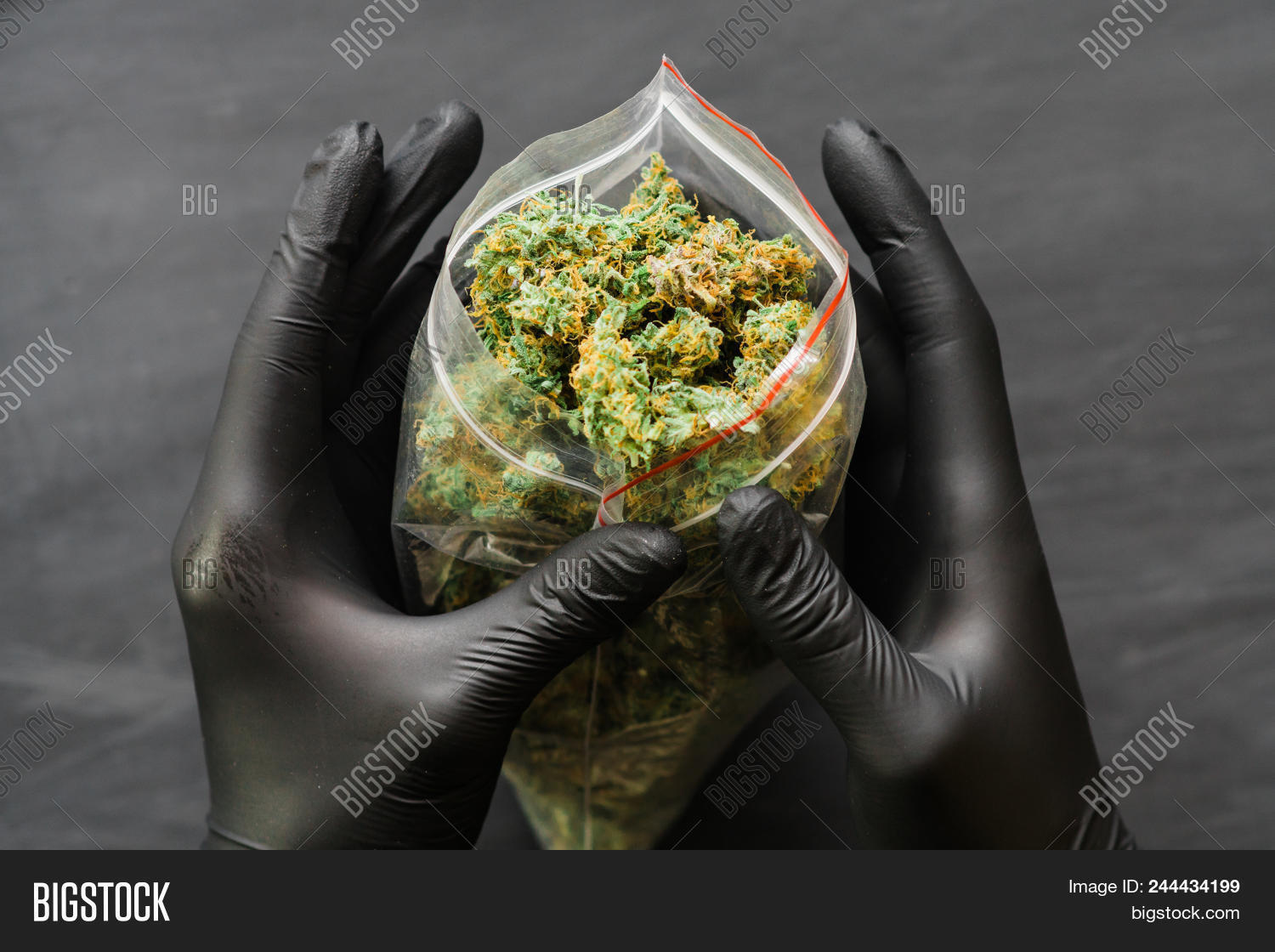Package Cannabis Hand Image & Photo (Free Trial) Bigstock
