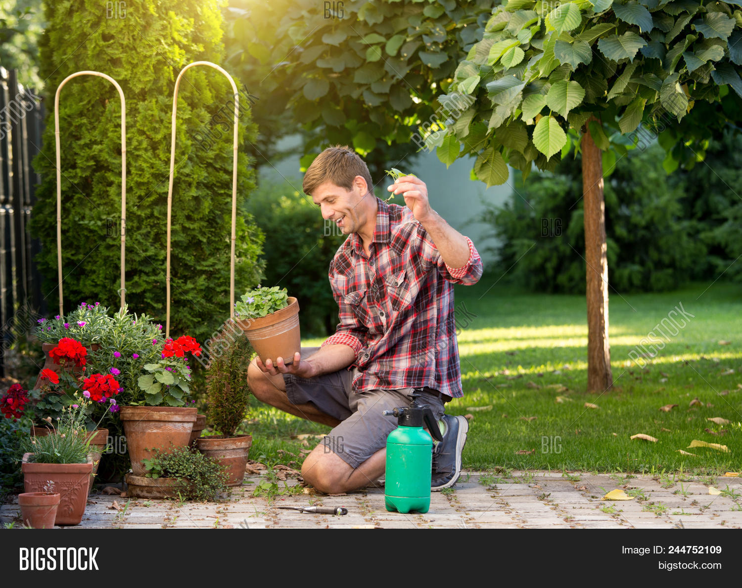 Man Taking Care Plants Image & Photo (Free Trial) Bigstock