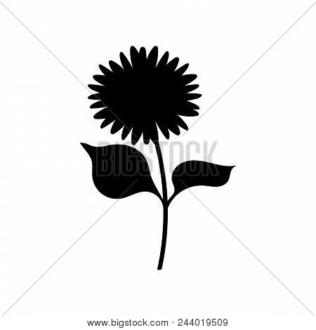 Sunflower With Green Leaves In Flat Style Isolated On White Background. Vector Illustration