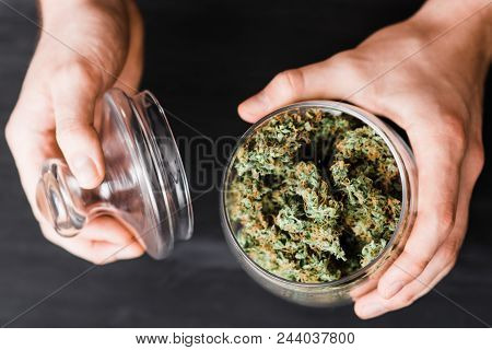 Top View. A Can With Buds Of Cannabis In The Hands Of A Man. The Concept Of Legal Marijuana Is Medic