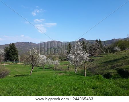 A Beautiful Panoramic View From The Mountains Of Veneto Near The Dolomites In Summer Trip, With Cold