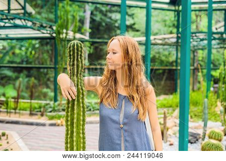 A Woman Hugs A Cactus As Her Best Friend. Problems Of Friendship Concept.
