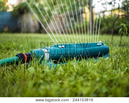 Close Up Automatic System Of Water Splinker Pouring Green Lawn In The Garden