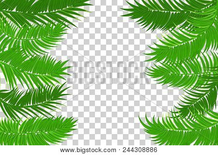 Web Summer Jungle Vector Photo Free Trial Bigstock