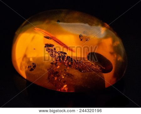 Artificial Amber Polished Cabochon On A Black Background Macro
