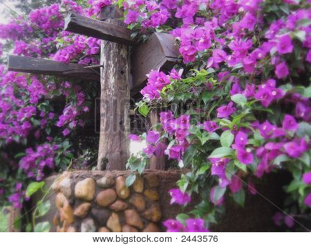 花の冠