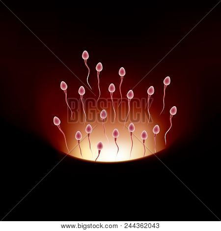 Sperm And Ovum Combination, Many Sperm Scramble Ovum.