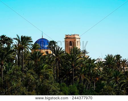 Palmeral Of Elche Covering The Basilica Of Santa María