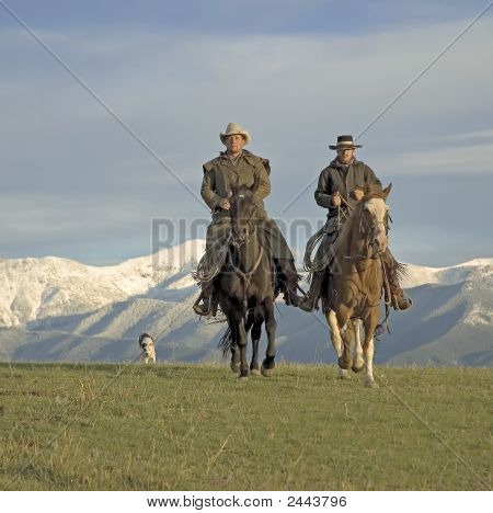 Cowboys Rider rækken