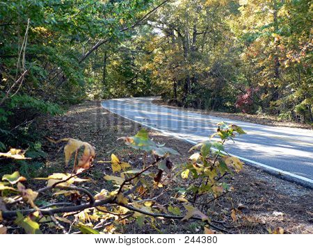Route de campagne