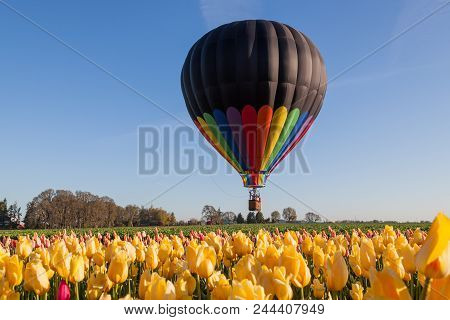 Balloon Above Tulip Fields