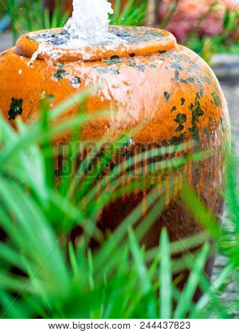 Cyperus Umbrella Plant And The Small Fountain In Ceramic Jar