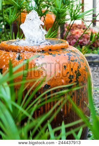 Cyperus Umbrella Plant And The Small Fountain In Ceramic Jar