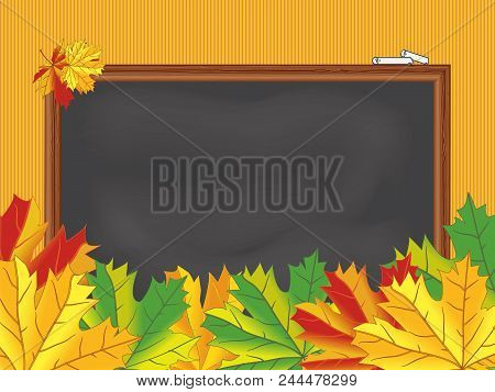 Chalkboard, Maple Leaves, Back To School Theme, Vector Illustration. Grunge Black Chalkboard, Wood F