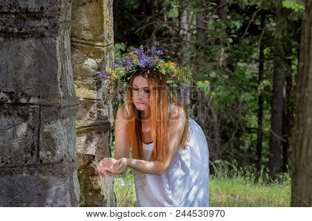 Young, Beautiful Woman In A White Dress And With A Wreath Of Wildflowers On His Head Near A Source I