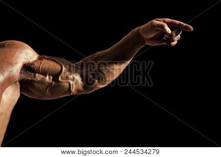 Steel Muscles. Hand With Veins, Muscles, Biceps, Triceps Point Finger On Black Background. Strength,