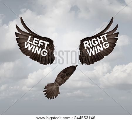 Political Crisis As A Destructive Right Wing And Left Wing Political Problem And Ideology Divided Me