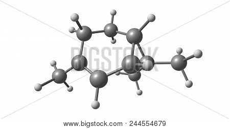 Carene Molecular Structure Isolated On White