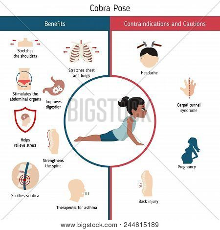 Infographics Of Yoga Pose