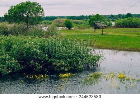 Flooded Trees And Meadows, Wooden Building On The Background Of The Wild Nature Of Belarus, The Floo