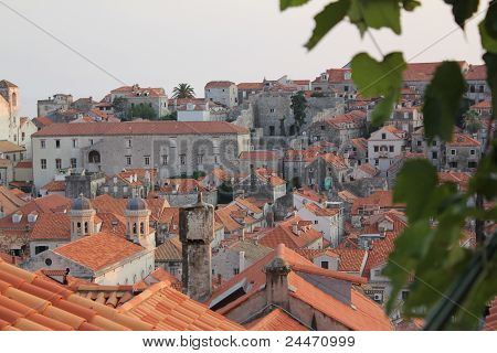 Dubrovnik Roofs