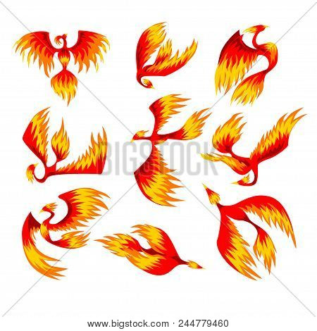Flaming Phoenix Bird Set, Fairy Tale Character From Slavic Folklore Vector Illustrations Isolated On