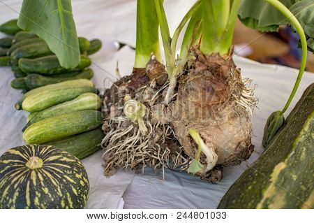 Vegetable With Roots And Plant In Studio