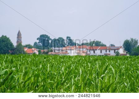Farm and fields in Rovigo, Italy