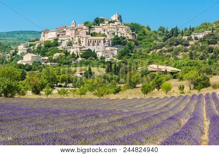 Small but beautiful old town of Simiane la Rotonde with a lavender field in front of it, Provence - France