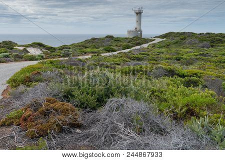 Lighthouse Within The Amazing Torndirrup National Park Close To Albany, Western Australia