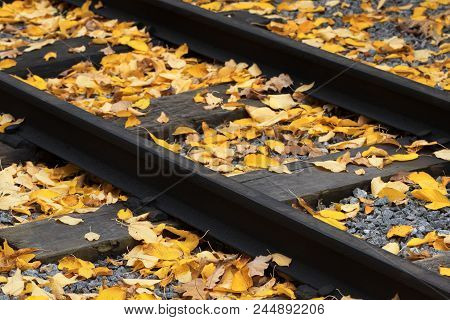 Old Railway Strewn With Yellow Fallen Leaves At Autumn. Selective Focus.