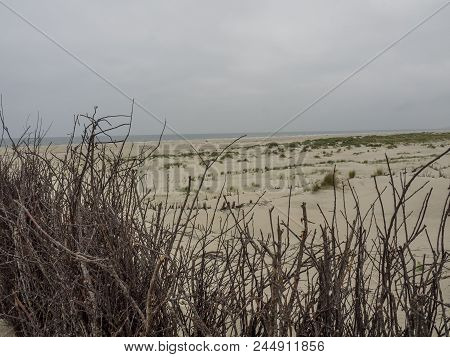 the Island of juist in the North sea