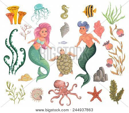 Mermaid, Merman, Marine Plants And Animals. Collection Decorative Design Elements. Cartoon Sea Flora