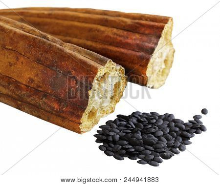 Dried Luffa Fruit with seeds isolated on white background