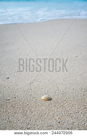 Seashell On Sandy Beach With White Foam Of Rolling Ocean Waves In Background. Tropical Beach With Az