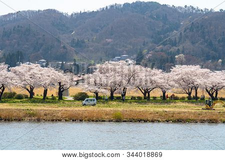 Kitakami, Iwate Prefecture, Japan - April 23 2019 : Tenshochi Park Along The Kitakami River In Sprin