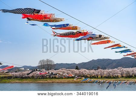 Kitakami, Iwate Prefecture, Japan - April 23 2019 : Tenshochi Park Along The Kitakami River In Sprin