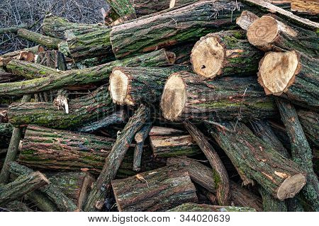 Logs For Firewood. Cut A Stack Of Logs. Stack Firewood. Stack Of Chopped Logs Ready For The Fire, Se