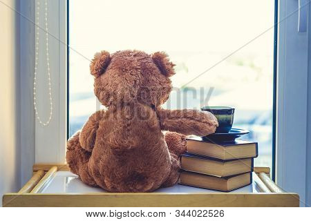 Sweet Teddy Bear Looking In Windiws With Cup Of Coffee Or Tea On Stack Of Books.. At A Morning Sun L