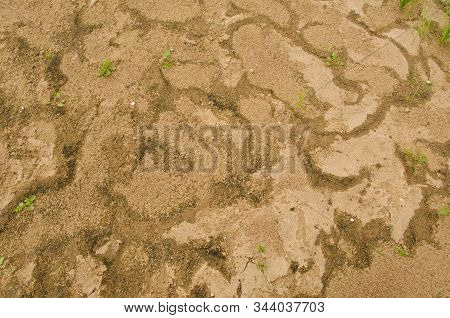 Yellow Earth Dry With Brown Spots And Grass