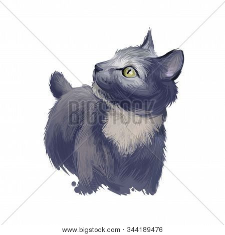Japanese Bobtail Kitten With Short Hair Isolated On Purple Background. Digital Art Illustration Of H
