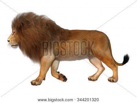 3D Rendering Male Lion On White
