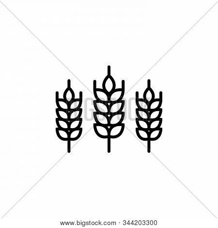 Wheat Ears Linear Icon For Business, Agriculture, Beer, Bakery, Gluten Free.