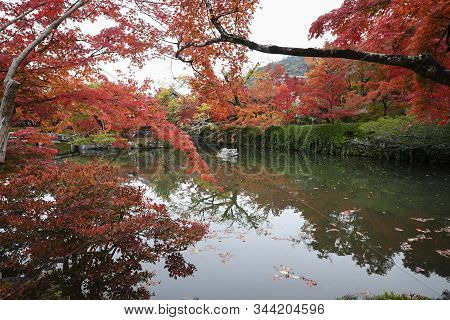 Colorful Fall Color Leaves In Eikando Zenrinji Gardens In Kyoto, Japan. Eikando Is One Of The Best P