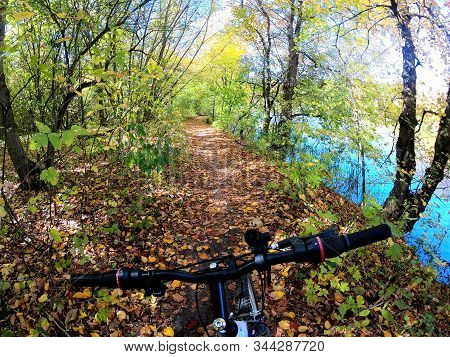 Girl Rides Bicycle Through Forest. Girl Rides Bike Along Path In Forest